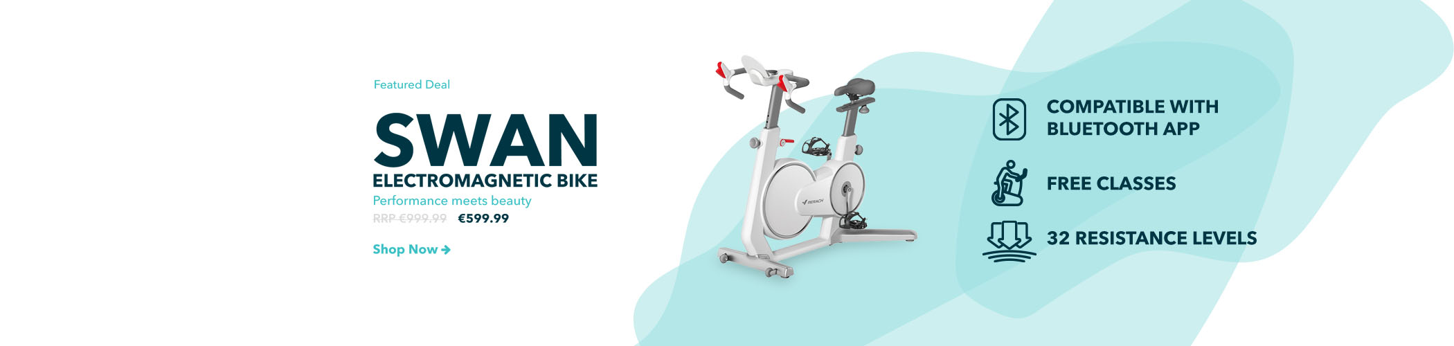 swan magnetic spin bike with bluetooth app