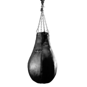 Speed Bag MAIN