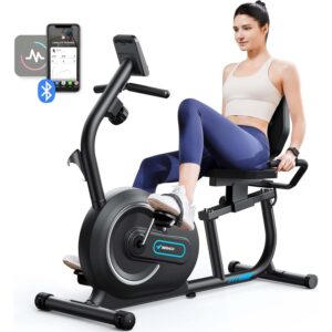 Recumbent Exercise Bike